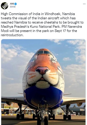 The painting on the nose of the aircraft being used to translocate the cheetahs to India is a tiger and not a cheetah.  The aircraft is not owned by an Indian carrier and was not specially painted for the occasion.
