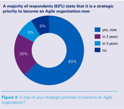 Survey about Agile prioritization