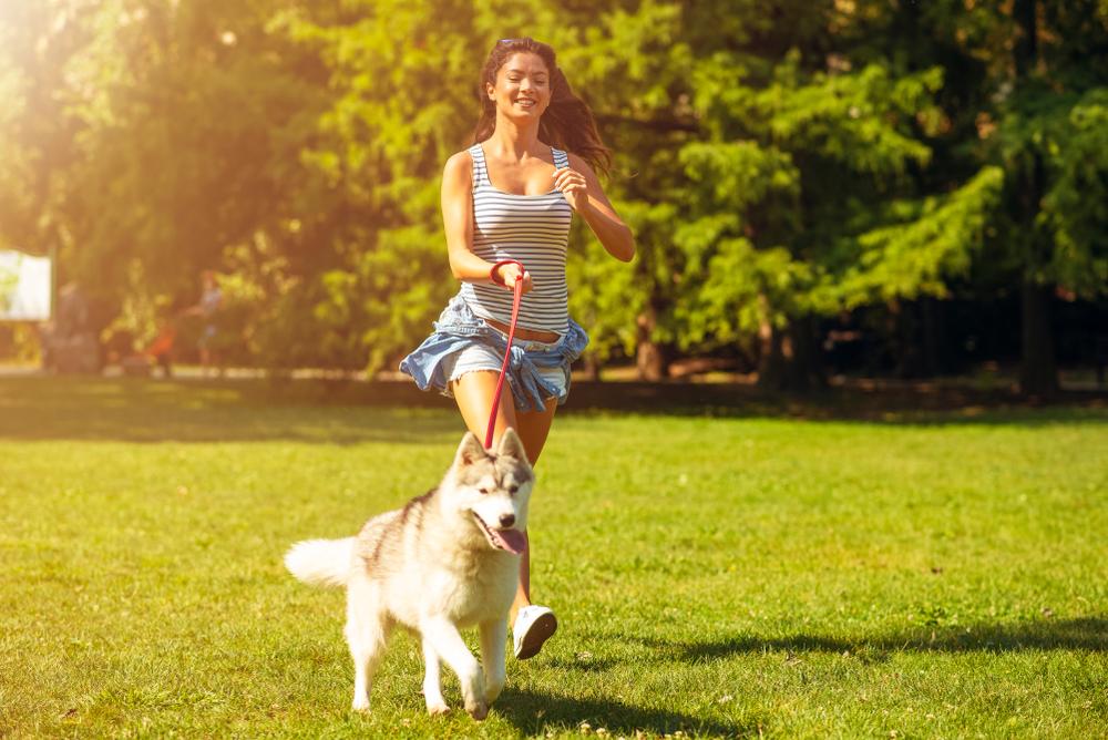 Running with Your Dog