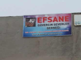 Ankara Efsane Güvercin Sevenler Derneği İLHAMİ FİDANBOY