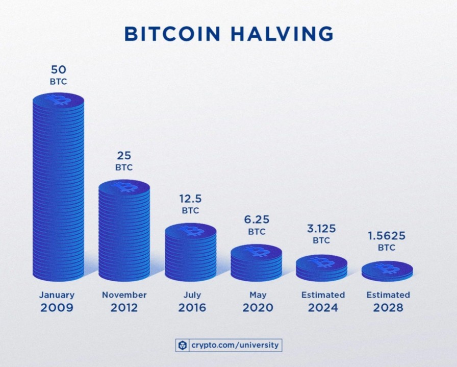 Bitcoin halving. 