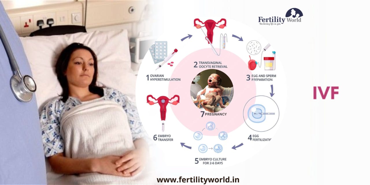 IVF process in Udaipur