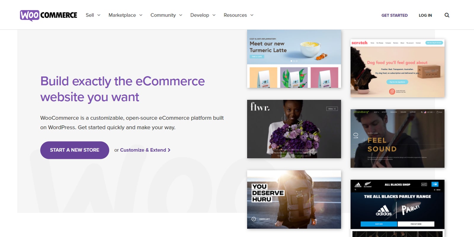 WordPress Black Friday deals of WooCommerce 