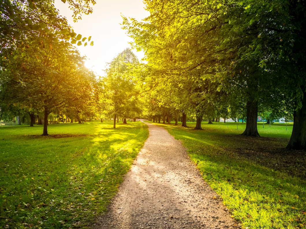 Parcul Central "Alexandru Borza" din Cluj