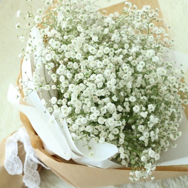 Download hình họa hoa sinh nhật white sáng