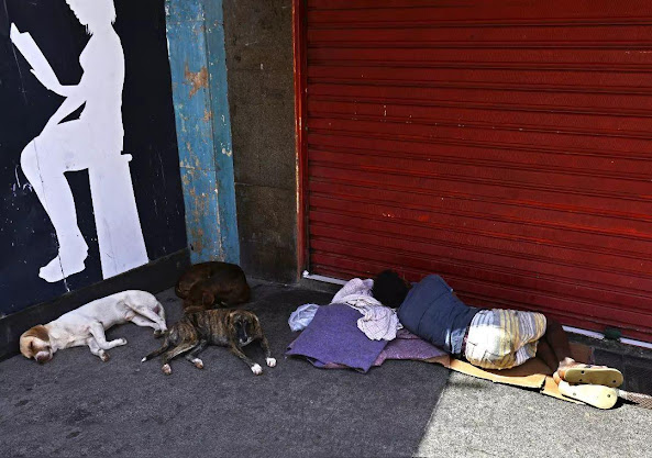 A fotografia apresenta um homem negro, usando uma camiseta e uma bermuda e calçando chinelos. Ele está deitado em uma calçada, na frente de um estabelecimento com uma porta de correr vermelha, o homem está em cima de um pedaço de papelão, com uns tecidos abaixo de sua cabeça. Ao seu lado, há três cachorros deitados.