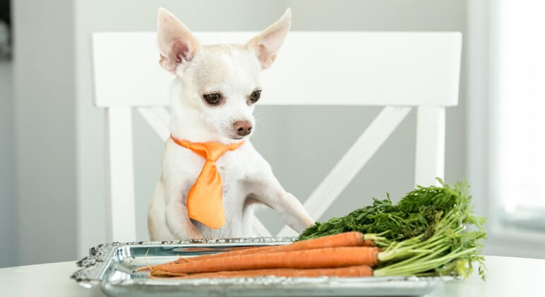 How to Prepare Carrots for Your Dog?