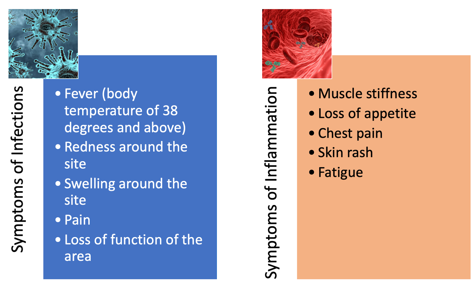 The Difference Between Infection and Inflammation  Klarity