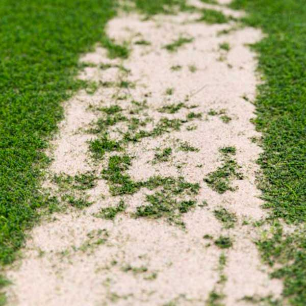 Turf Sand