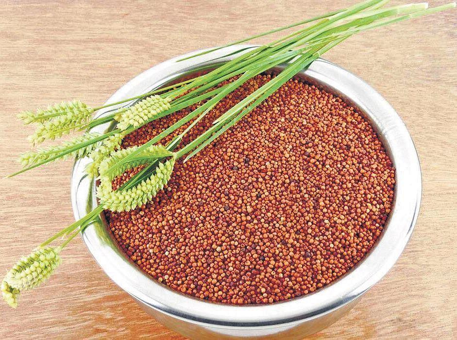 The richness of ragi- The New Indian Express