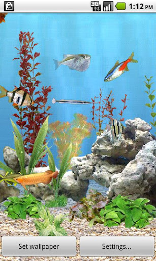 aniPet Freshwater Aquarium LWP apk