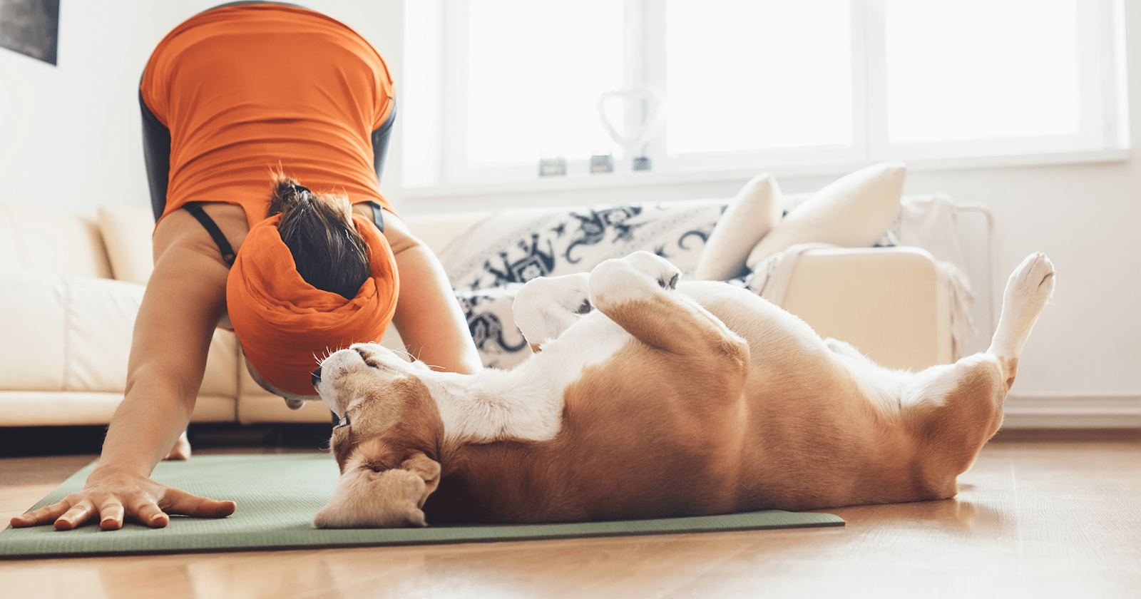 Woman on yoga mat in downward dog position with small dog laying on its back also on the mat