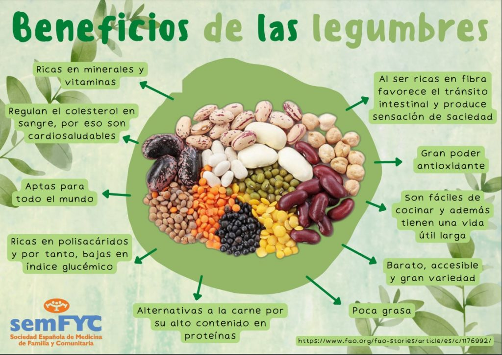Hoy el mundo celebra a las legumbres ¿Qué beneficios nos aporta su cultivo  y su consumo? - Conexión Nacional