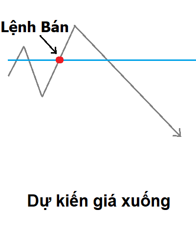 Lệnh Bán