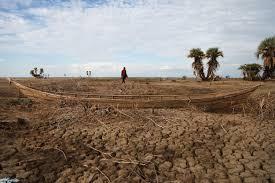A picture containing outdoor, sky, beach, sandy

climate change effects on African women
