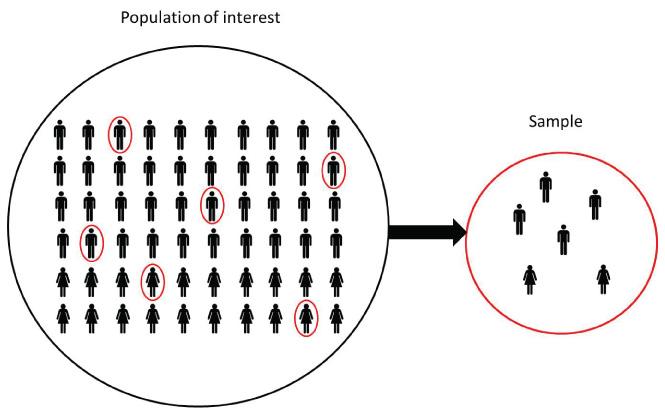 NCES Blog | Statistical concepts in brief: How and why does NCES use sample  surveys?