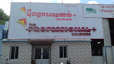 The Professional Couriers