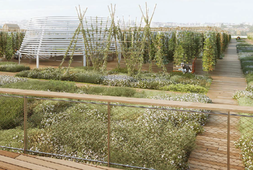 A farm with grasses, long sticks organized in a pyramid, and rows of vertically growing plants on a rooftop.