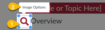 In Canvas Rich Text Editor, click on the image and then select "Image Options"