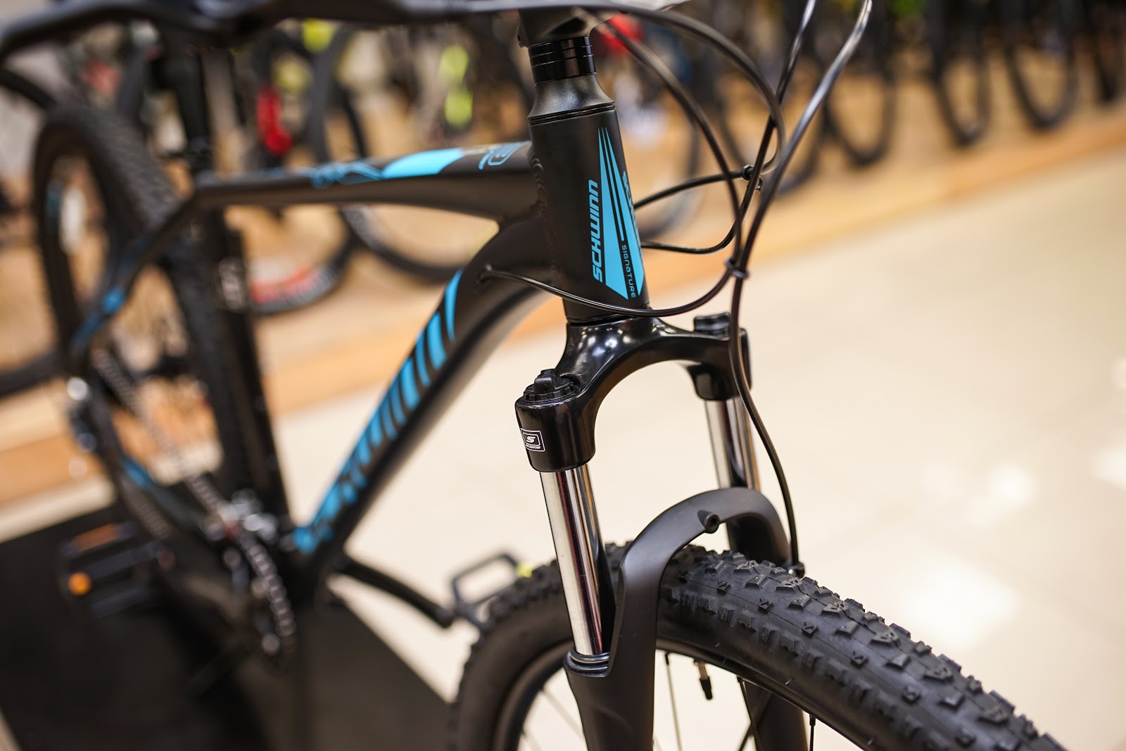 schwinn moab 3 2019