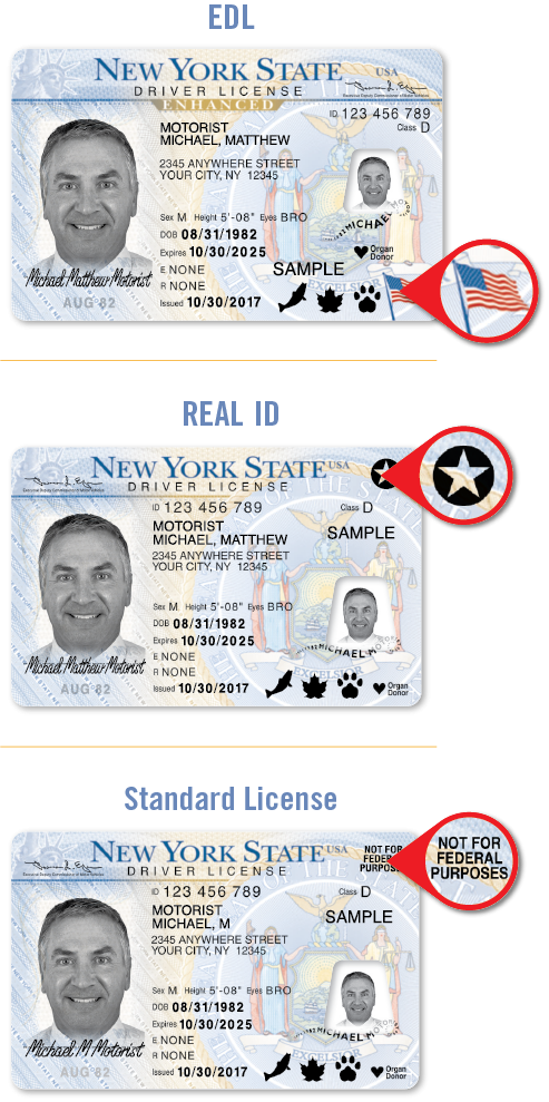 Enhanced, REAL ID and Standard Licenses