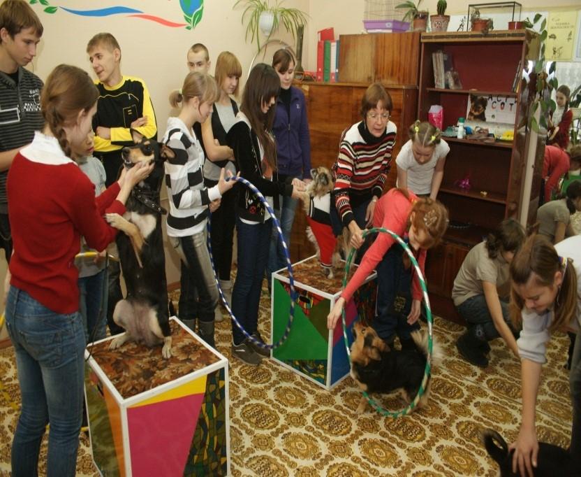 http://mail.beluo.ru/images/stories/sobaki.jpg