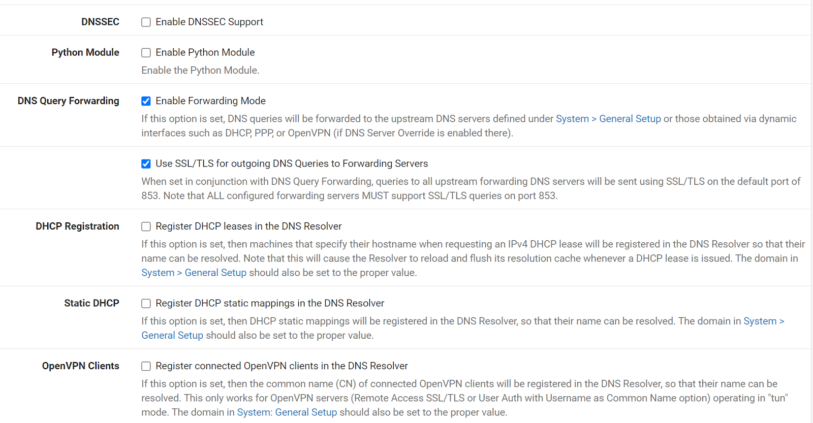 DNS resolver configuration
“Enable Forwarding Mode” and “Enable DNS resolver” checked. “Enable DNSSEC Support” unchecked