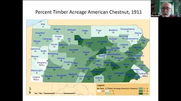 Percent Timber Acreage American 1911
