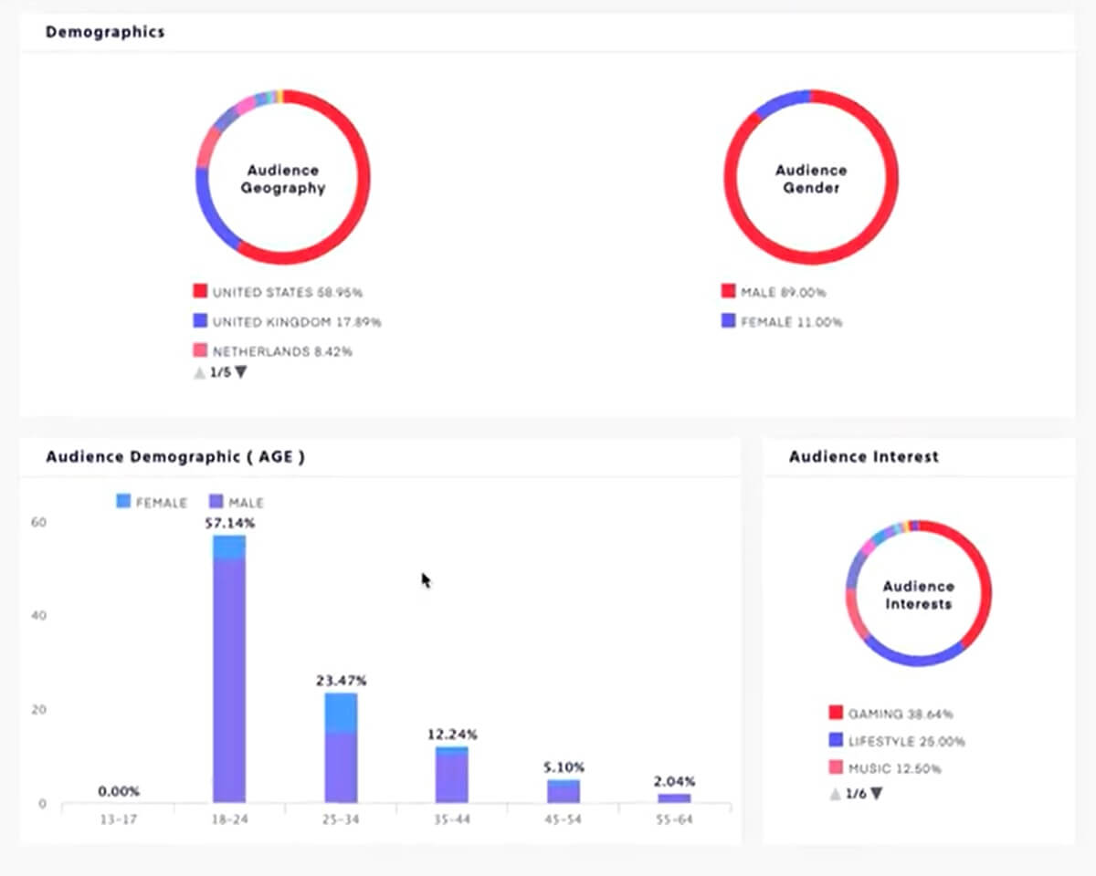 SocialBook Provides a full audience demographic data of all influencers on YouTube, Instagram and TikTok.