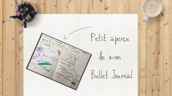 Mon Bullet Journal pour mon Miracle Morning