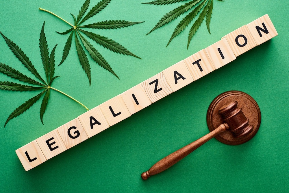 The Importance of Marijuana Legalization in the USA