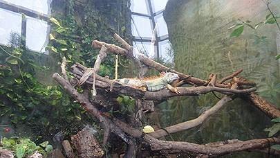 1569f710412a47.jpg
