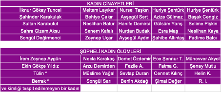 2021 Kasm Ay Kadn Cinayetleri statistii