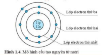 Câu hỏi trang 12 SGK TN&XH 7 CD tập 1