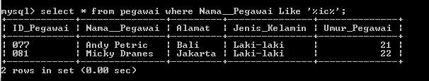 C:\Users\Aras\Documents\Tugas semester 1\Basis data\Tugas besar\7 Like, Order by, Grup By, Asc, Des\Like\Pegawai\Like 48.PNG