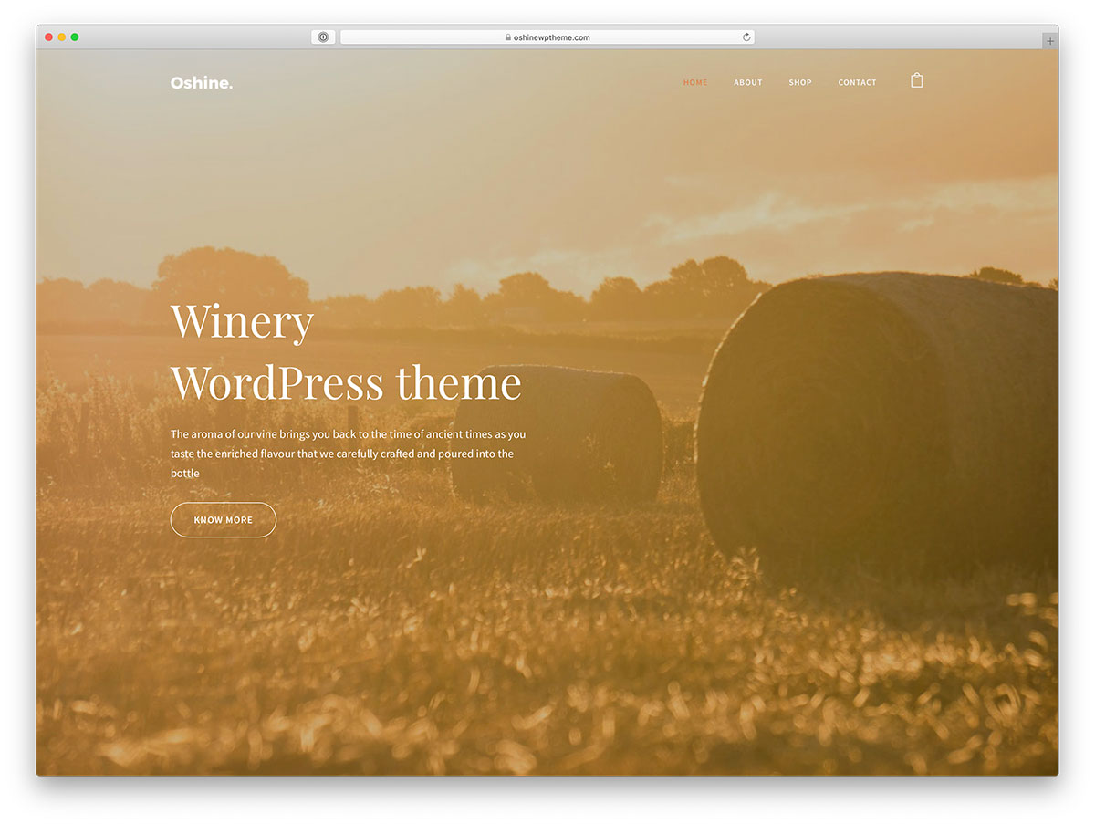 tema de WordPress para tienda de vinos