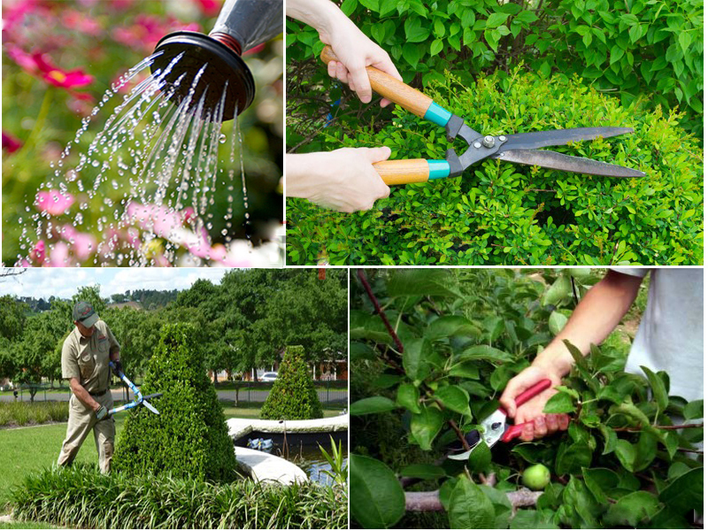 Đến với chúng tôi để được tư vấn hỗ trợ tốt nhất về dịch vụ