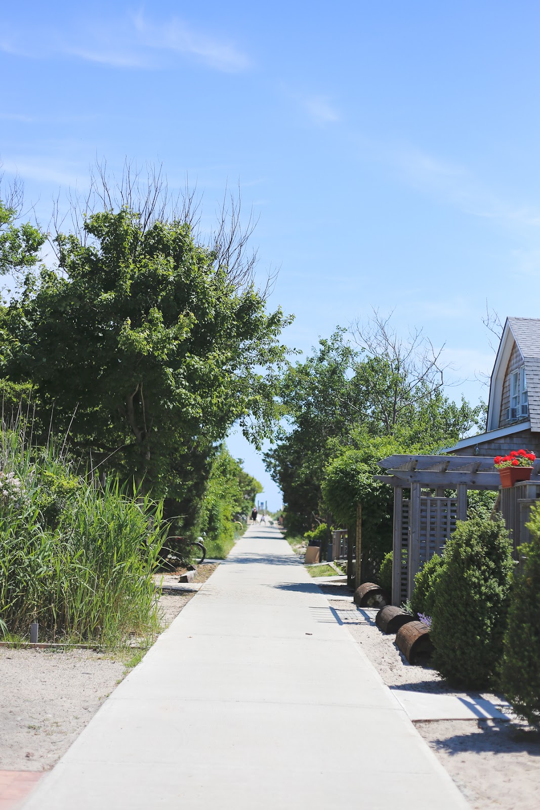 Cozy Day Trip to Fire Island, NY via Cozy NYC 