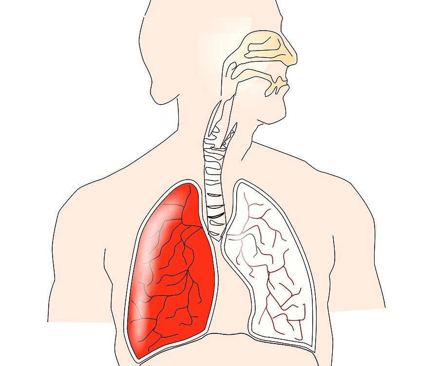 difusi oksigen pada saluran pernapasan terjadi di alveolus