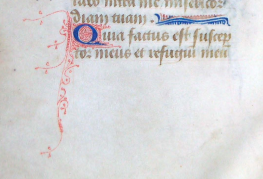 A black initial with red pinworm next to a blue and red line fill