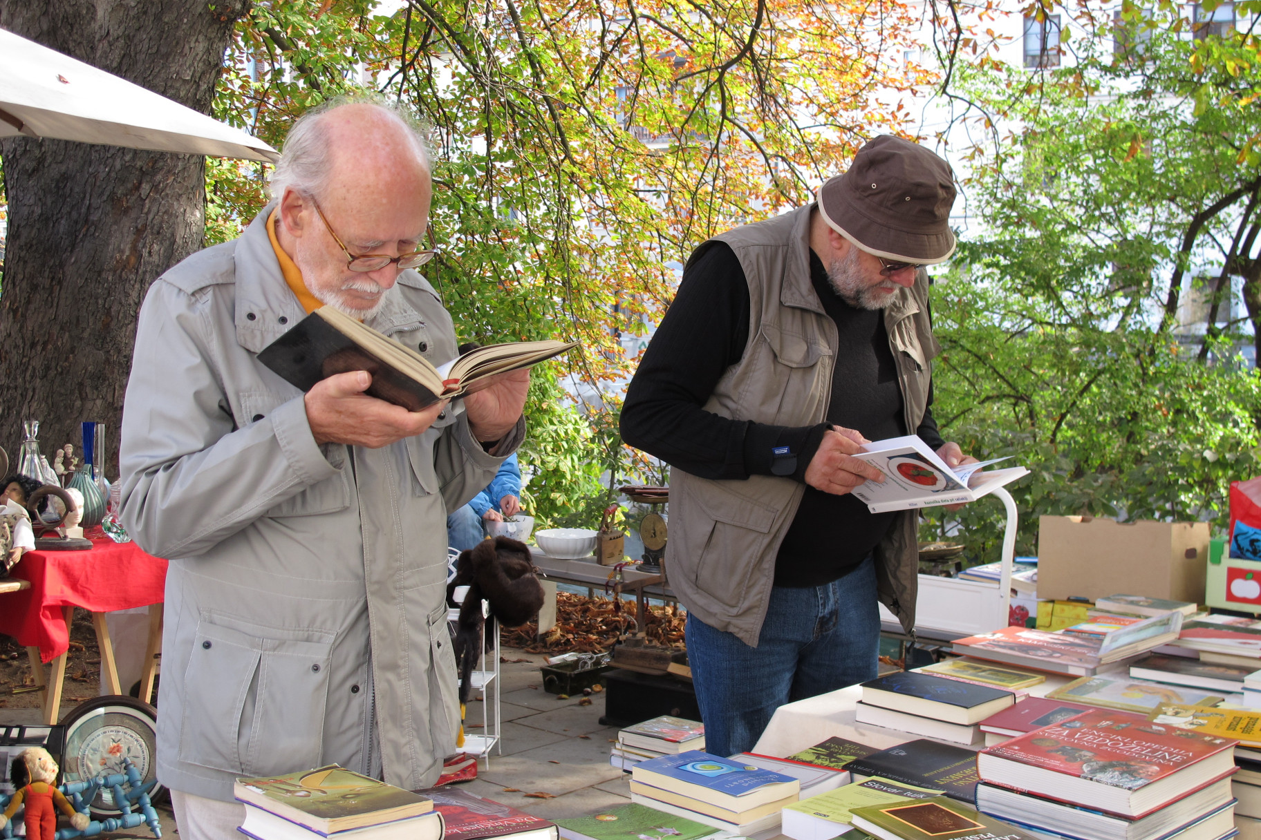older-men-browsing-books-at-open-air-market