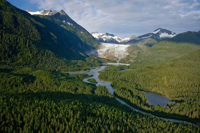 Mendenhall-Glacier-in-Tongass.jpg