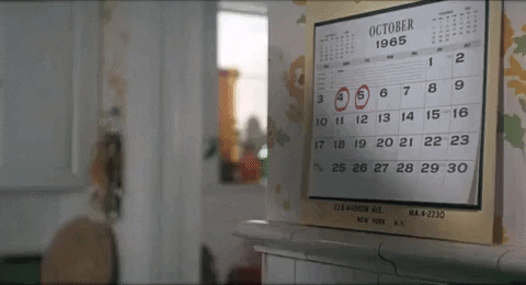 Person looking at a calendar GIF