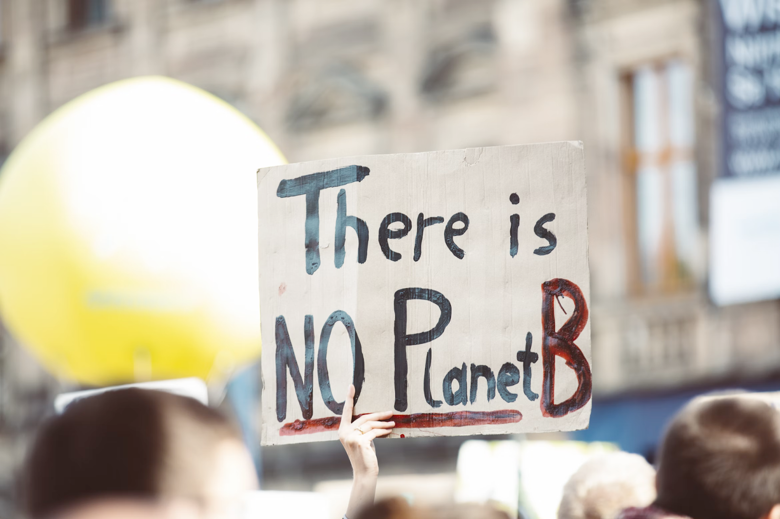 Person holding up a sign that says "there is no planet B"