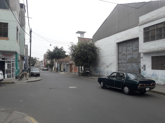 Veterinaria Pasteur - Lima