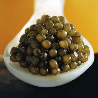 Petrossian Special Reserve Ossetra Caviar