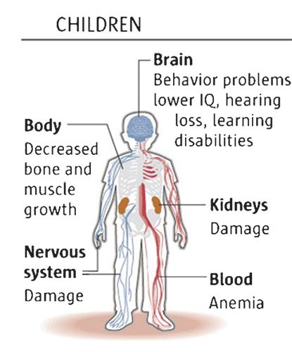 Children... Brain: Behavior problems, lower IQ, hearing loss, learning disabilities; Body: Decreased bone and muscle growth; Kidneys: damage; nervous system: damage; blood: anemia. 