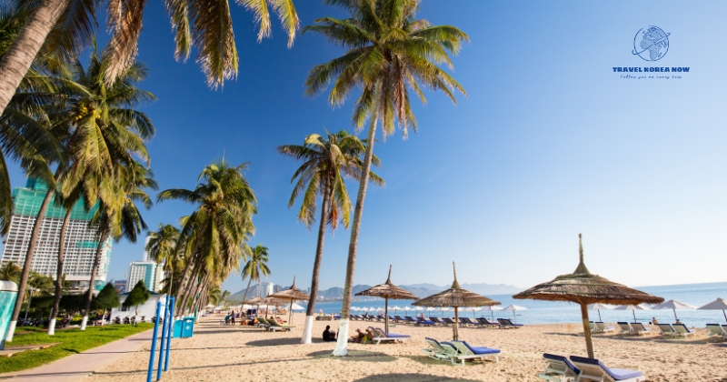 Visit Nha Trang - Nha Trang's climate is relatively mild, with sunshine almost all year around
