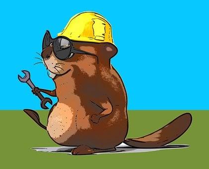 Beaver, Worker, Helmet, Cartoon, Builder