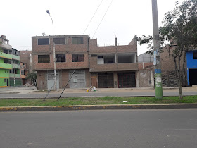 COLEGIO DE TRABAJADORES SOCIALES DEL PERU